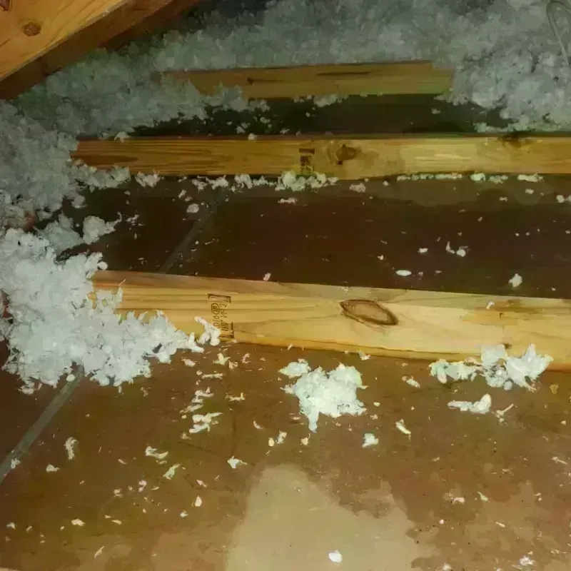 Attic Water Damage in Descanso, CA